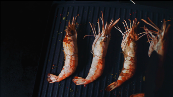 PLANETA KINO RE’LUX CAMPAIGN. SHRIMP